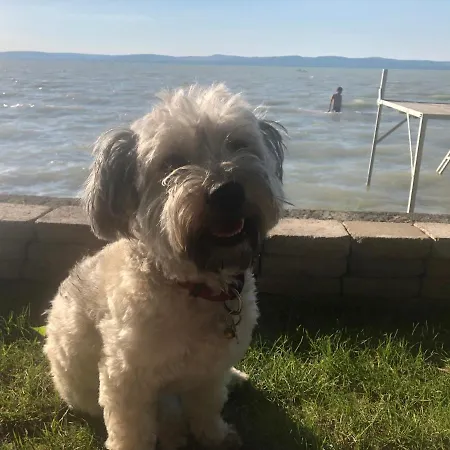 Topartihaz Case de vacanță *